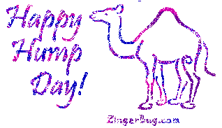 Click to get the codes for this image. Happy Hump Day Pink Camel Glitter Graphic, Happy Wednesday, Happy Hump Day Free Image, Glitter Graphic, Greeting or Meme for Facebook, Twitter or any forum or blog.