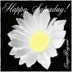 Click to get the codes for this image. This beautiful glitter graphic is a white daisy with silver glitter around the tips of the petals. The comment reads: Happy Saturday!