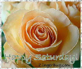 Click to get the codes for this image. This beautiful glitter graphic shows a close-up of a peach colored rose with silver glitter on the tips of each petal. The comment reads: Happy Saturday!