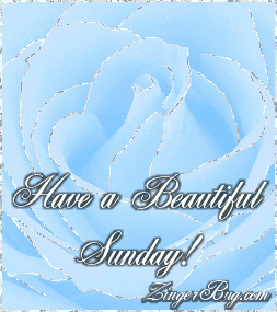 Click to get the codes for this image. This beautiful glitter graphic shows a close-up of a blue rose with silver glitter on the tips of each petal. The comment reads: Have a Beautiful Sunday!