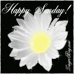 Click to get the codes for this image. This beautiful glitter graphic is a white daisy with silver glitter around the tips of the petals. The comment reads: Happy Sunday!