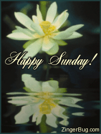 Click to get the codes for this image. This beautiful graphic shows a yellow flower reflected in an animated pool. The comment reads: Happy Sunday!