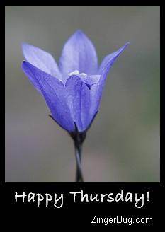 Click to get the codes for this image. Happy Thursday Blue Flower, Happy Thursday, Flowers Free Image, Glitter Graphic, Greeting or Meme for Facebook, Twitter or any forum or blog.