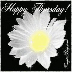 Click to get the codes for this image. This beautiful glitter graphic is a white daisy with silver glitter around the tips of the petals. The comment reads: Happy Thursday!
