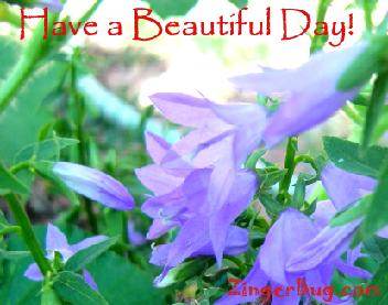 Click to get the codes for this image. Have A Beautiful Day Bluebells, Have a Great Day, Flowers Free Image, Glitter Graphic, Greeting or Meme for Facebook, Twitter or any blog.
