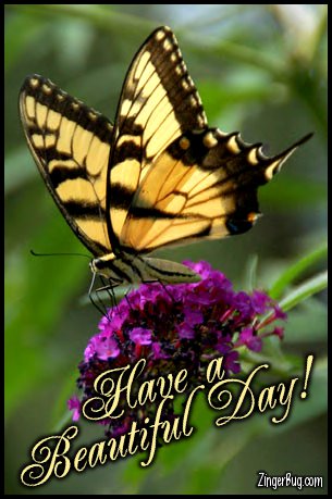 Click to get the codes for this image. Have A Beautiful Day Butterfly Photo, Animals  Butterflies  Bugs, Have a Great Day Free Image, Glitter Graphic, Greeting or Meme for Facebook, Twitter or any forum or blog.