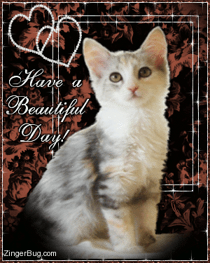 Click to get the codes for this image. Beautiful glitter graphic of a calico kitten with diamond hearts. Comment reads: Have a Beautiful Day!