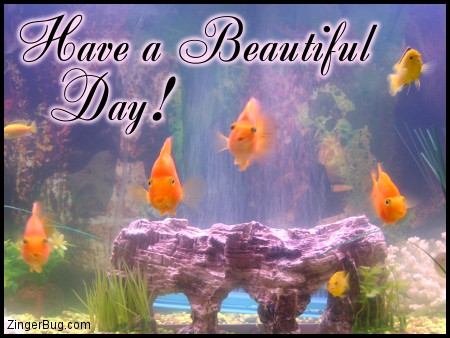 Click to get the codes for this image. Have A Beautiful Day Goldfish, Animals  Fish Dolphins Whales, Have a Great Day Free Image, Glitter Graphic, Greeting or Meme for Facebook, Twitter or any forum or blog.