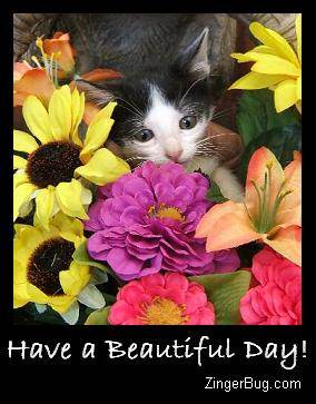 Click to get the codes for this image. Have A Beautiful Day Kitten Photo, Animals  Cats, Have a Great Day, Flowers Free Image, Glitter Graphic, Greeting or Meme for Facebook, Twitter or any forum or blog.
