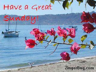Click to get the codes for this image. Have A Great Sunday Flowers On The Shore Photograph, Happy Sunday, Flowers Free Image, Glitter Graphic, Greeting or Meme for Facebook, Twitter or any forum or blog.