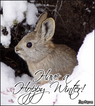 Click to get the codes for this image. Have A Hoppy Winter Snow Bunny Photo, Animals  Bunnies  Rabbits, Winter Free Image, Glitter Graphic, Greeting or Meme for Facebook, Twitter or any forum or blog.