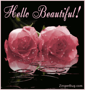 Click to get the codes for this image. This beautiful graphic shows two pink roses covered with raindrops while more rain falls in an animated pool. The comment reads: Hello Beautiful!