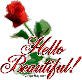 Click to get the codes for this image. This glitter graphic shows a single red rose. The comment reads: Hello Beautiful!