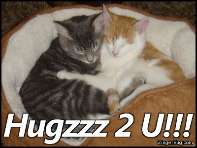 Click to get the codes for this image. Hugzzz 2 U Hugging Kittens, Animals  Cats, Hugs and Kisses Free Image, Glitter Graphic, Greeting or Meme for Facebook, Twitter or any forum or blog.