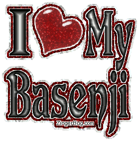 Click to get the codes for this image. I Heart My Basenji, Animals  Dogs, Basenji Free Image, Glitter Graphic, Greeting or Meme for Facebook, Twitter or any forum or blog.