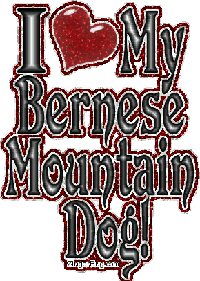 Click to get the codes for this image. I Heart My Bernese Mountain Dog, Bernese Mountain Dog, Animals  Dogs Free Image, Glitter Graphic, Greeting or Meme for Facebook, Twitter or any forum or blog.