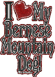 Click to get the codes for this image. I Heart My Bernese Mountain Dog Small, Animals  Dogs, Bernese Mountain Dog Free Image, Glitter Graphic, Greeting or Meme for Facebook, Twitter or any forum or blog.