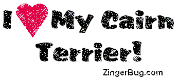 Click to get the codes for this image. I Heart My Cairn Terrier Glitter Text, Animals  Dogs, Cairn Terrier, Pet Free Image, Glitter Graphic, Greeting or Meme for Facebook, Twitter or any forum or blog.
