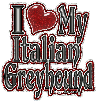 Click to get the codes for this image. I Heart My Italian Greyhound, Animals  Dogs, Pet, Italian Greyhound Free Image, Glitter Graphic, Greeting or Meme for Facebook, Twitter or any forum or blog.