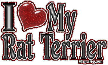 Click to get the codes for this image. I Heart My Rat Terrier, Pet, Rat Terrier, Animals  Dogs Free Image, Glitter Graphic, Greeting or Meme for Facebook, Twitter or any forum or blog.
