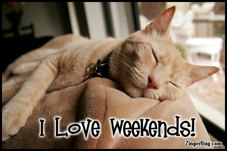 Click to get the codes for this image. I Love Weekends Sleeping Orange Cat Photo, Animals  Cats, Have a Great Weekend Free Image, Glitter Graphic, Greeting or Meme for Facebook, Twitter or any forum or blog.