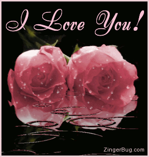 Click to get the codes for this image. This beautiful graphic shows two pink roses covered with raindrops while more rain falls in an animated pool. The comment reads: I Love You!