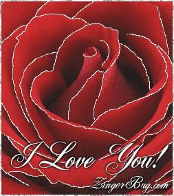 Click to get the codes for this image. This beautiful glitter graphic shows a close-up of a red rose with silver glitter on the tips of each petal. The comment reads: I Love You!
