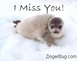 Click to get the codes for this image. I Miss You Seal, I Miss You, Animal Free Image, Glitter Graphic, Greeting or Meme for Facebook, Twitter or any forum or blog.