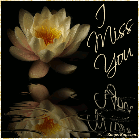 Click to get the codes for this image. I Miss You Water Lily Rain, Popular Favorites, I Miss You Glitter Graphic, Comment, Meme, GIF or Greeting