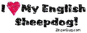 Click to get the codes for this image. I heart my english sheepdog Glitter Text, Animals  Dogs, English Sheepdog, Pet Free Image, Glitter Graphic, Greeting or Meme for Facebook, Twitter or any forum or blog.