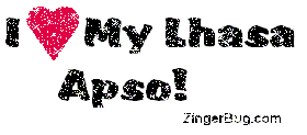 Click to get the codes for this image. I heart my lhasa apso Glitter Text, Animals  Dogs, Lhasa Apso, Pet Free Image, Glitter Graphic, Greeting or Meme for Facebook, Twitter or any forum or blog.