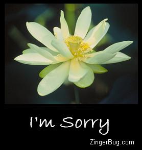 Click to I'm sorry comments, GIFs, greetings and glitter graphics.