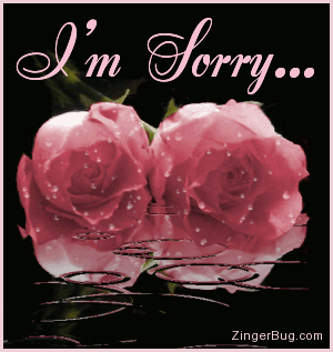 Click to get the codes for this image. This beautiful graphic shows two pink roses covered with raindrops while more rain falls in an animated pool. The comment reads: I'm Sorry...