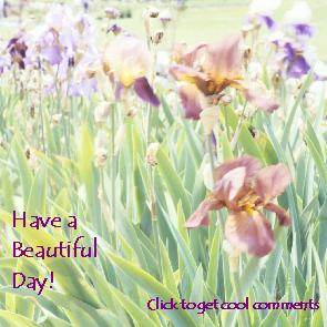 Click to get the codes for this image. Have a Beautiful Day Iris Photo, Have a Great Day, Flowers Free Image, Glitter Graphic, Greeting or Meme for Facebook, Twitter or any blog.