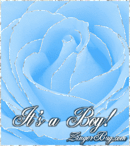 Click to get the codes for this image. This beautiful glitter graphic shows a close-up of a blue rose with silver glitter on the tips of each petal. The comment reads: It's a Boy! So if you're celebrating the arrival of a new baby boy, this comment is for you!
