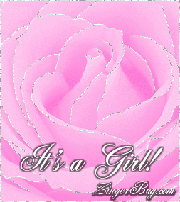 Click to get the codes for this image. This beautiful glitter graphic shows a close-up of a pink rose with silver glitter on the tips of each petal. The comment reads: It's a Girl! So if the stork has brought you a new baby girl, celebrate by posting this beautiful glitter graphic.