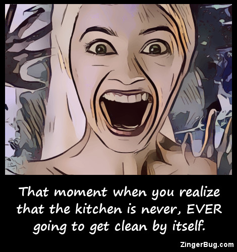 Click to get the codes for this image. That moment when you realize that the kitchen is never EVER goint to get clean by itself. Funny meme with screaming woman.