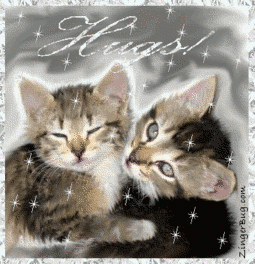 Click to get the codes for this image. This adorable glitter graphic shows 2 kittens hugging each other. The comment reads: Hugs!