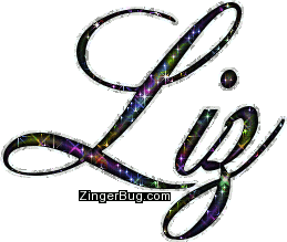 Click to get the codes for this image. Liz Multi Colored Glitter Name, Girl Names Free Image Glitter Graphic for Facebook, Twitter or any blog.