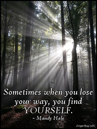 Click to get the codes for this image. This inspirational meme features a photograph of sunbeams shining through the trees of a forest creating a brilliant starburst. The quote is bye Mandy Hale and reads: Sometimes when you lose your way, you find YOURSELF.