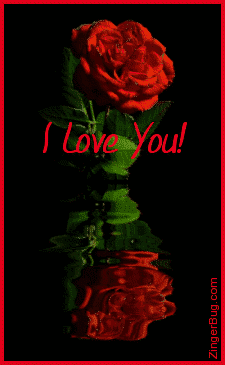 Click to get the codes for this image. This beautiful graphic shows a red rose with reflections in an animated pool. The comment reads: I Love You!