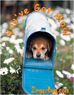 Click to get the codes for this image. Puppy In Mailbox, Animals  Dogs Free Image, Glitter Graphic, Greeting or Meme for Facebook, Twitter or any forum or blog.