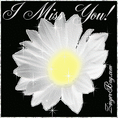 Click to get the codes for this image. This beautiful glitter graphic is a white daisy with silver glitter around the tips of the petals. The comment reads: I Miss You!