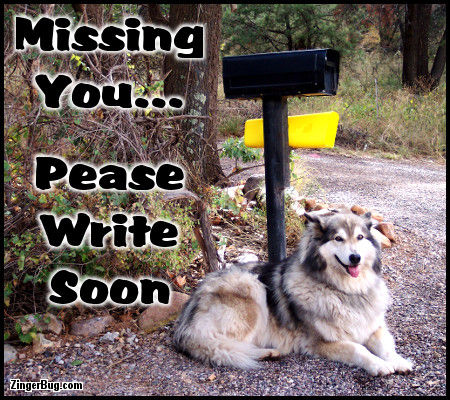 Click to get the codes for this image. Missing You Please Write Soon Dog By Mailbox Photo, Animals  Dogs, I Miss You Free Image, Glitter Graphic, Greeting or Meme for Facebook, Twitter or any forum or blog.