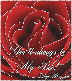 Click to get the codes for this image. This beautiful glitter graphic shows a close-up of a red rose with silver glitter on the tips of each petal. The comment reads: You'll always be My Boo!