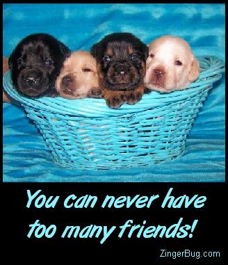 Click to get the codes for this image. Cute photo of 4 puppies in a basket. Comment reads: You can never have too many friends!