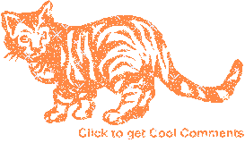 Click to get the codes for this image. Orange Cat Glitter Graphic, Animals  Cats, Animals  Cats Free Image, Glitter Graphic, Greeting or Meme for Facebook, Twitter or any forum or blog.
