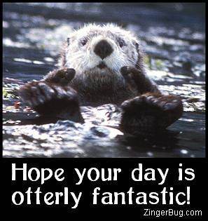 Click to get the codes for this image. This cute comment shows a funny sea otter with his paws sticking out of the water with both thumbs up. The comment reads: Hope your day is otterly fantastic!