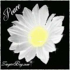 Click to get the codes for this image. This beautiful glitter graphic is a white daisy with silver glitter around the tips of the petals. The comment reads: Peace