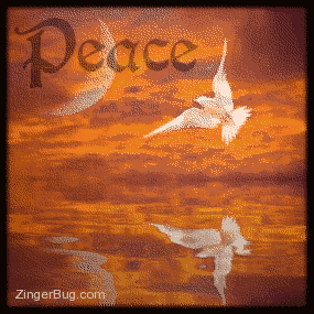 Click to get the codes for this image. This beautiful graphic shows a white dove flying across a spectacular sunset with a moon in the background. The scene is reflected in an animated pool The comment reads: Peace